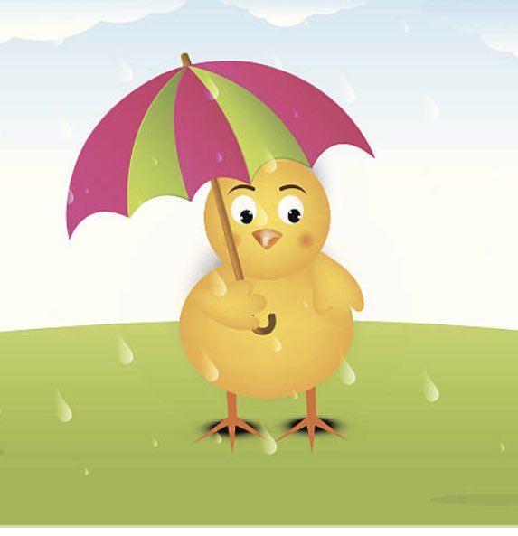 TheHenChickens's tweet photo. Stay dry today folks. Please help keep supporting finge theatres,thank you @EtceteraTheatre @TheHopeTheatre @BreadandRosesTC @ORLTheatre @ThePleasance @UnderbellyFest @edfringe @CamdenFringe https://t.co/mrxwf45hzp