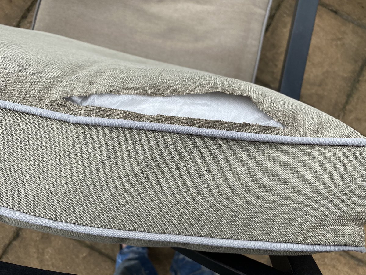 DeborahRees19's tweet photo. Oh my goodness, just in their third summer and my @Love_hartman weatherproof cushions look like this! 😱 https://t.co/wM5NcaUQDZ