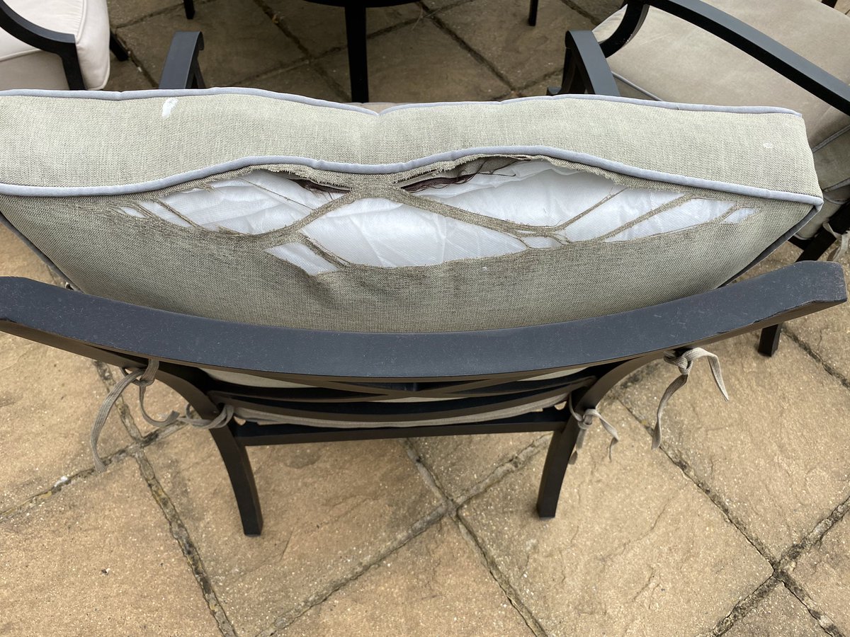 DeborahRees19's tweet photo. Oh my goodness, just in their third summer and my @Love_hartman weatherproof cushions look like this! 😱 https://t.co/wM5NcaUQDZ