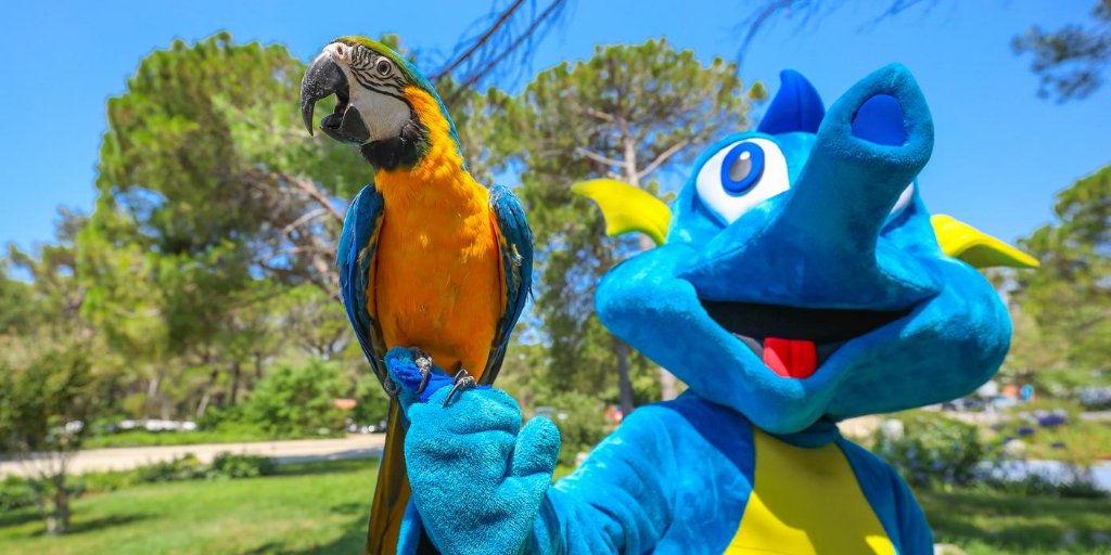 If you are curious to find out who Zatonino's new friend is, join us at Mendula pastry shop at the main street every MON, WED and FRI at 20 h.
With these two lovelies, boredom is not an option 🤩
