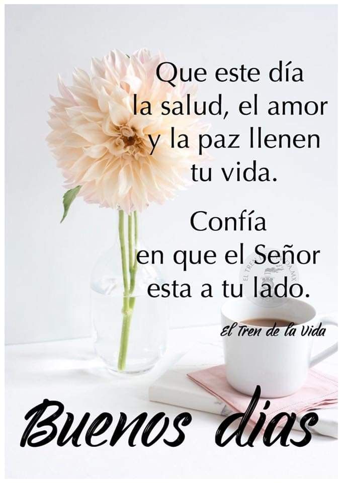 NilAzul's tweet photo. Buenos días
#FelizMiercoles
#YoConfioEnDios https://t.co/AA2wC3iwZK