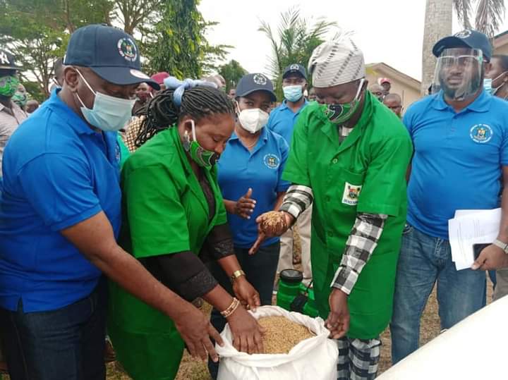 LagosAPCUK's tweet photo. APC Lagos UK Commends Lagos Government on Farmers Empowerment
@jidesanwoolu @followlasg https://t.co/76p536VEHK