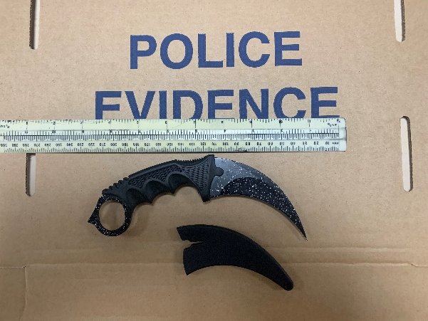 Camden Police (called Central North) produce a weekly news bulletin that they share with their partners. They highlight the great work being carried out by Central North. Camden SNB has been given permission to share these bulletins with you. camdenconnected.com/general/centra… <a href="/MPSCamden/">Camden Police</a>