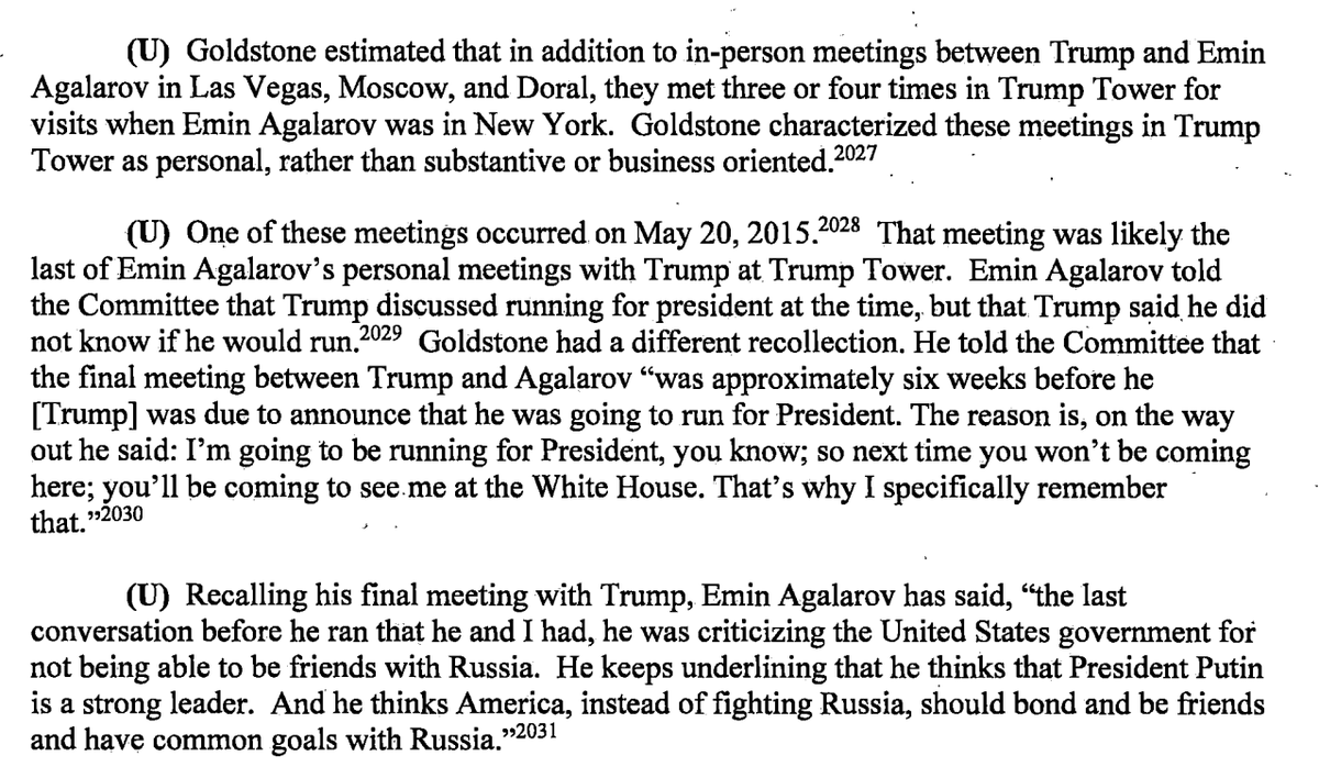 There's a discrepancy between Goldstone and Emin about whether Trump had already decided to run by Emin's last meeting at Trump Tower.