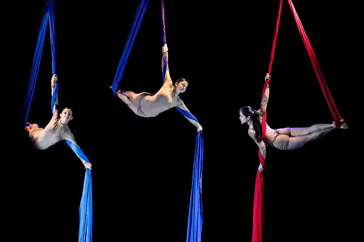 jacksons_lane's tweet photo. We’re making 3 spaces (incl theatre) available for circus artists over Sept/Oct, thanks to @ace_national emergency Covid funding.

We're the UK's leading contemporary circus venue &amp; we'll do anything we can to get the sector back on its feet.

Info/apply:
https://t.co/DzNJIroYuw https://t.co/50RwqCEjz7