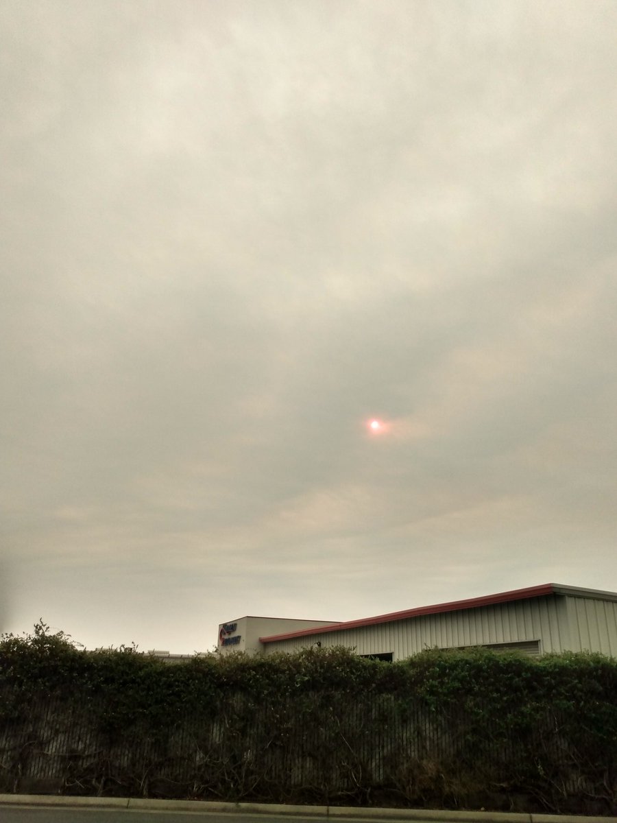 This is what the sky looks like with the sun out. It was supposed to be 104 today but the smoke is cooling everything down. And it is 80 degrees.