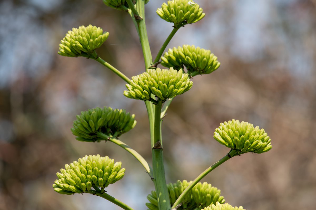 Nature is so beautiful #WorldPhotoDay #WorldPhotographyDay2020