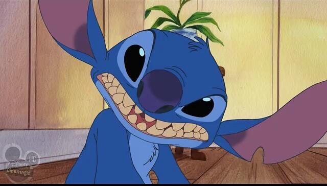  #VIXX's  #Hongbin as StitchA thread; #HAPPYHONGBINDAY  #VIXX  #빅스  #Hongbin  #홍빈  #빅스가6인지지