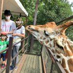 ツイートに含まれる画像