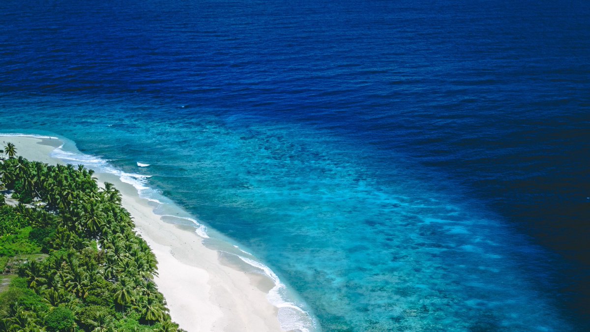 This crystal-clear blue water in the #Maldives is home to our @fairtradecertified Yellowfin Tuna. We catch our tuna using traditional methods to prevent bycatch and help ensure the ocean stays full of wild fish for generations to come.[📸 Nattu Adnan]