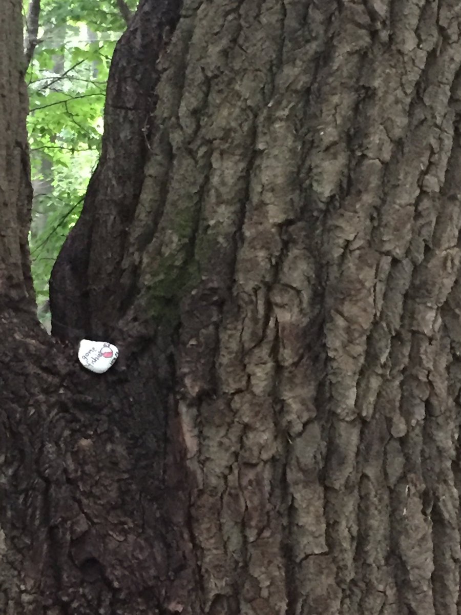 Intermediate PE tweet media