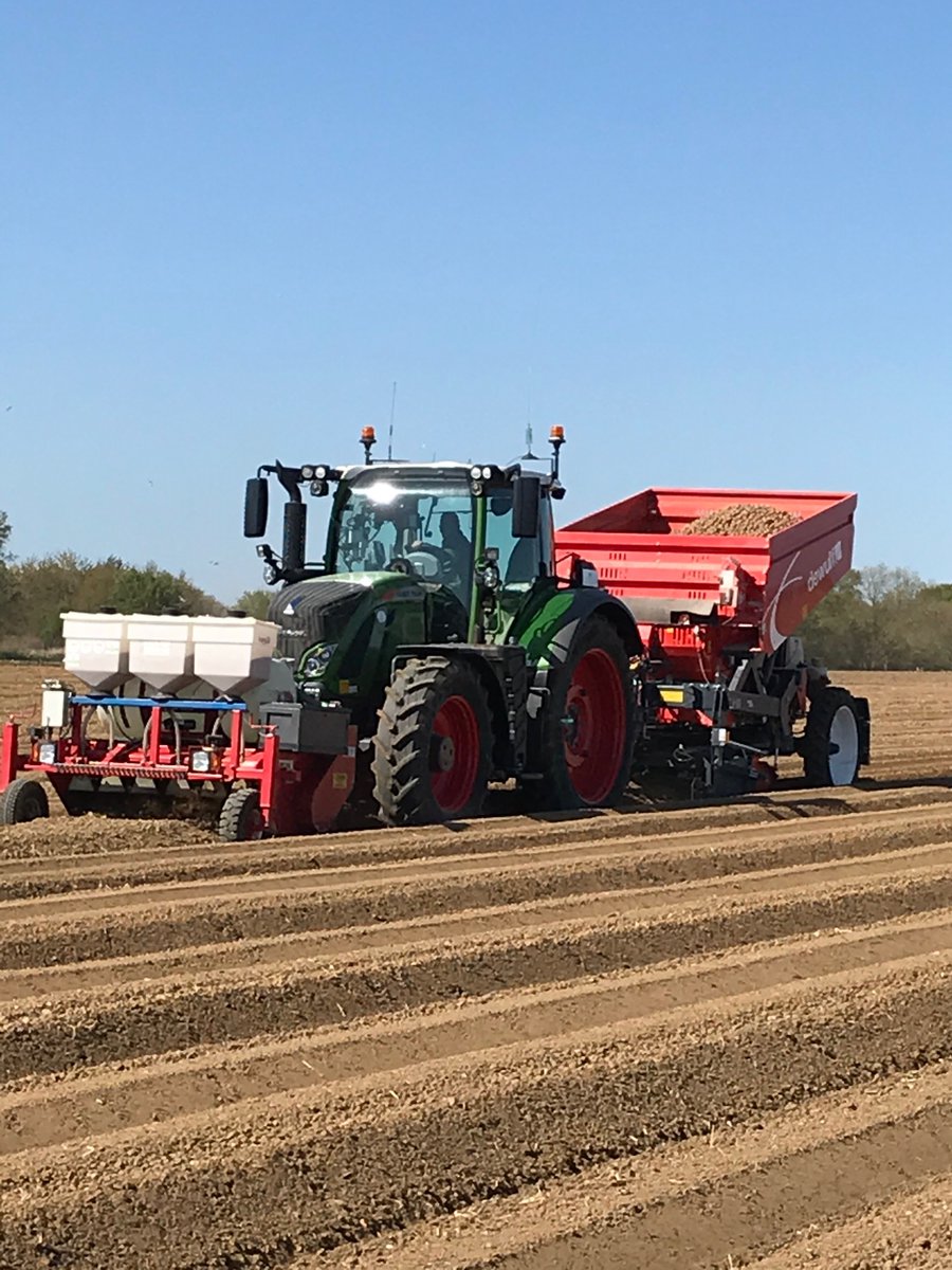 greenvaleAP's tweet image. P G Rix lifting and cooked samples of Venezia #Potatoes #spuds