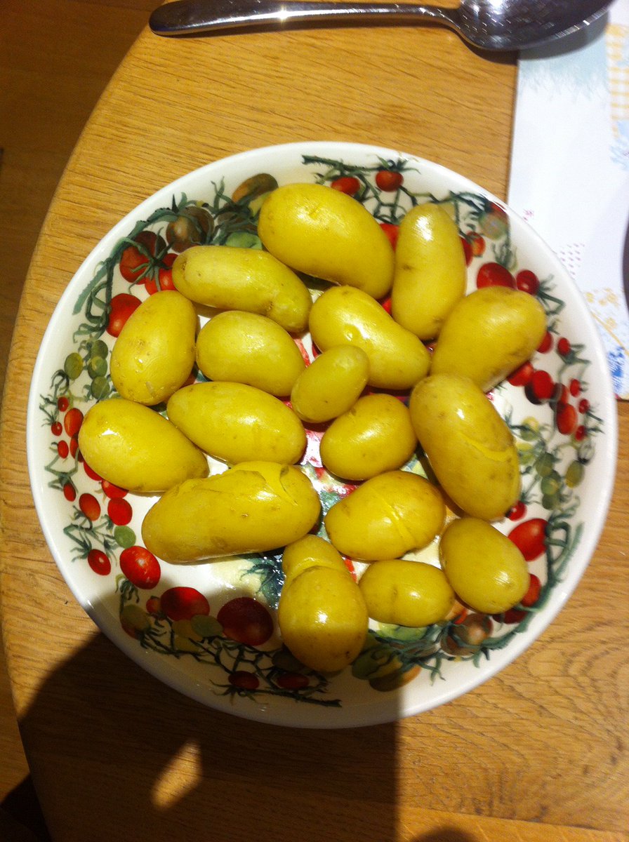 greenvaleAP's tweet image. P G Rix lifting and cooked samples of Venezia #Potatoes #spuds