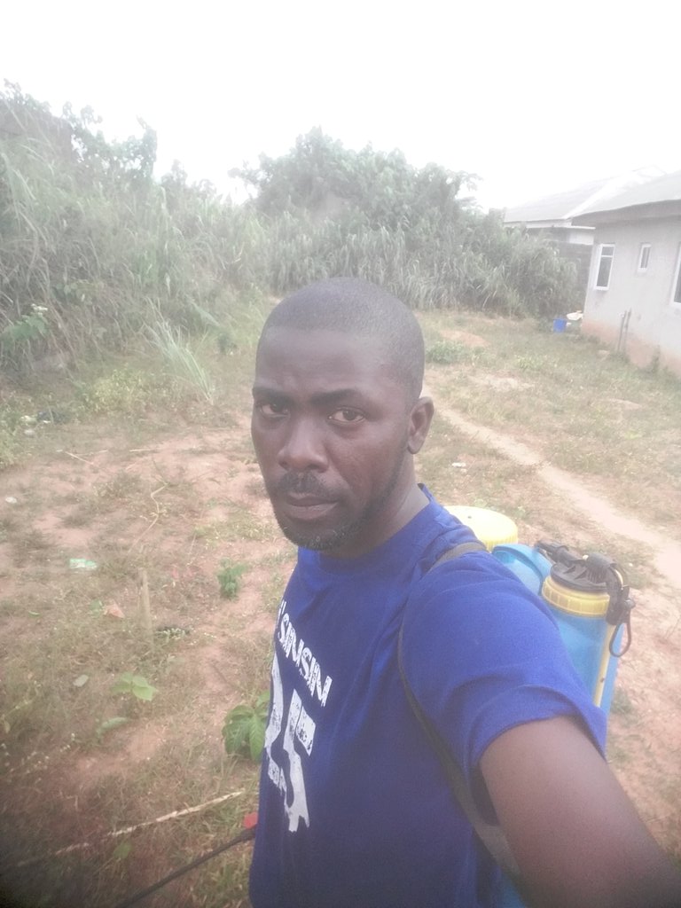 FamorotiAdesola's tweet photo. Man dey site since morning dey work for this 2k. Make 1 super no tell me say money no dey o. Anyway for your fumigation(home and work place, religious places etc)For your sturbon grass and weed, we will get rid of them. Send us any errand @ZECServices indeed we are You Second You https://t.co/KR3bonMmPv