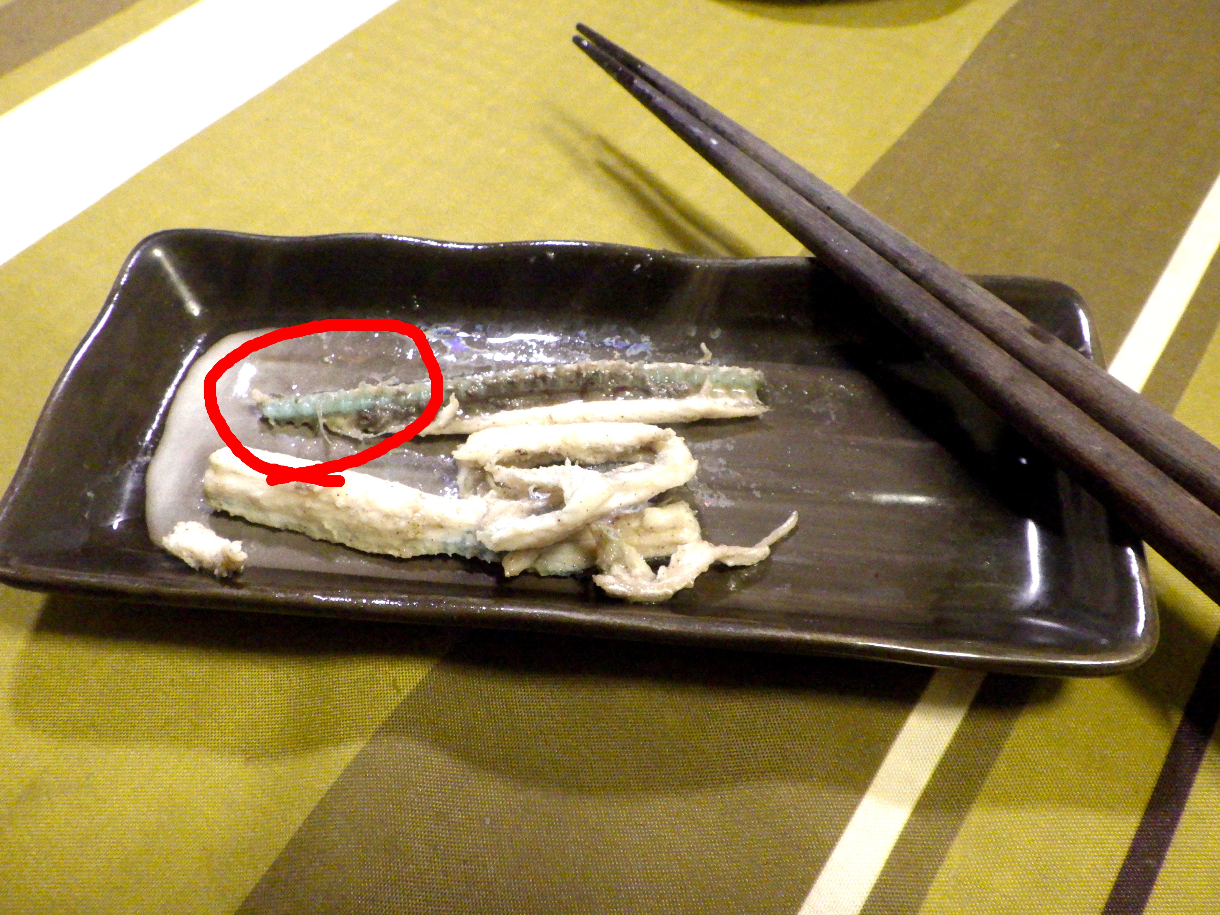 東京でとって食べる生活 ダツ 骨がブルーで青いんですけど なんで どうして T Co Wsuowkogz5 Twitter