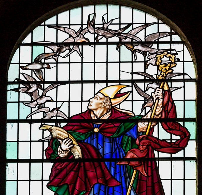 St Cuthbert protected the wild birds on Lindisfarne. Eider ducks are still known as Cuddy's ducks in the North East of England. This stained glass window by Hugh Easton in the nave  @DurhamCathedral shows Cuthbert surrounded by seabirds. #AnimalsInChurches  #AnimalsInCathedrals