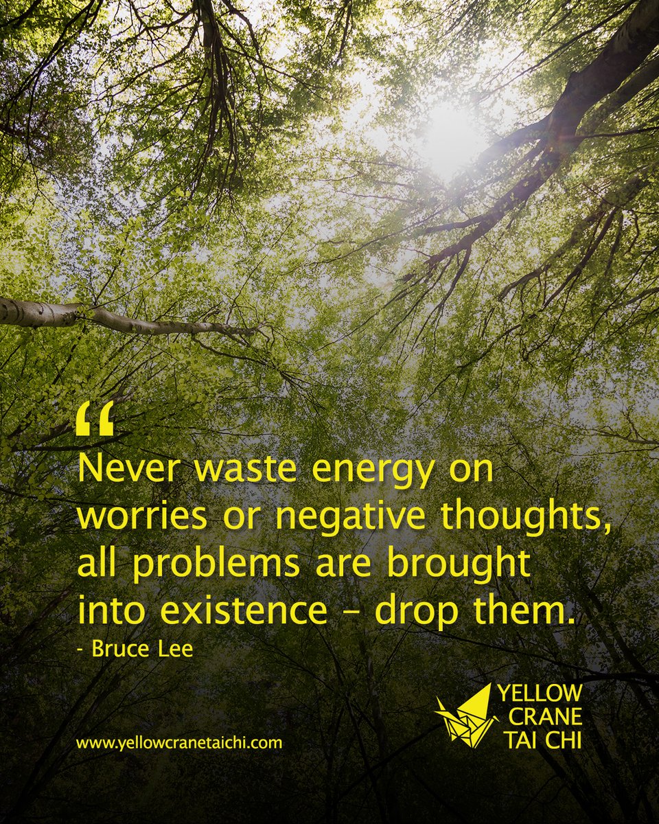 yellowcranetcc's tweet photo. https://t.co/PRZgts6him
