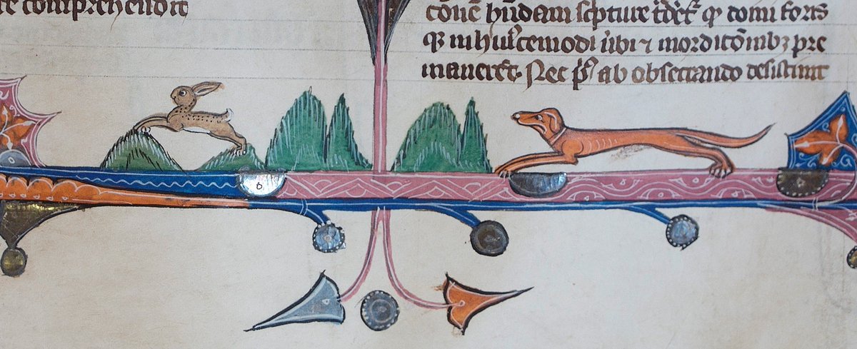 Our  #manuscripts are full to bursting with illuminated animals which you can explore in digital form via the Priory Project.  https://www.durhampriory.ac.uk/list-of-digitised-durham-priory-library-books/We love this dog and rabbit from MS A.I.11. #AnimalsInChurches  #AnimalsInCathedrals #MedievalTwitter