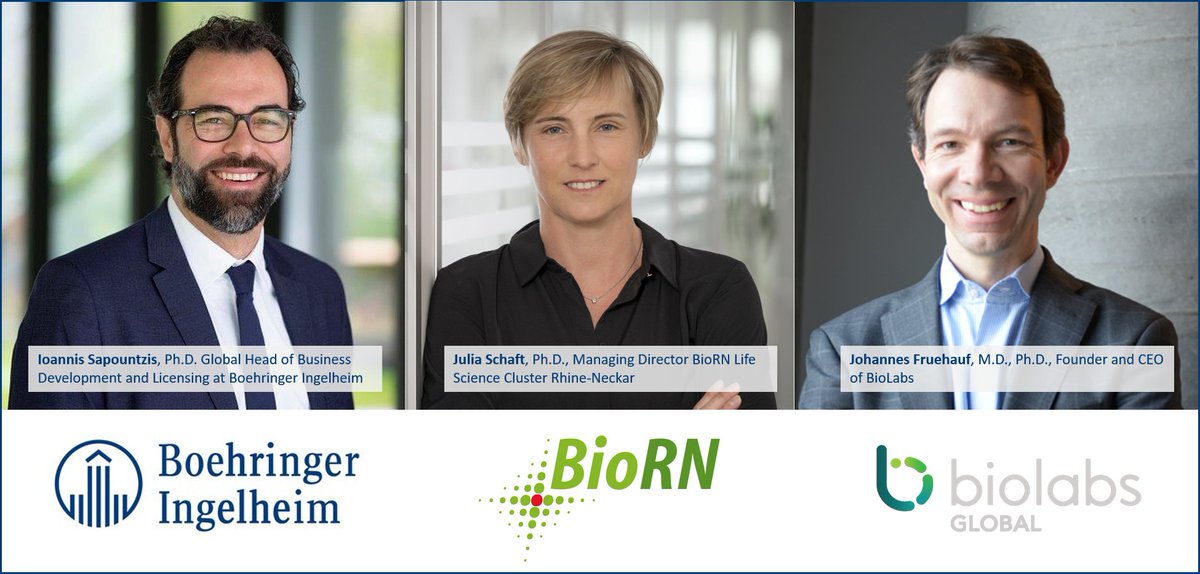 We are very proud to announce that <a href="/BoehringerDE/">Boehringer Ingelheim</a> is supporting the launch of <a href="/BioLabsHQ/">BioLabs</a> in #Heidelberg with a Founding Sponsorship.
BioRN has been working with Biolabs over the past year to adapt the US start-up incubator model to the German environment.

lnkd.in/dck2ka2