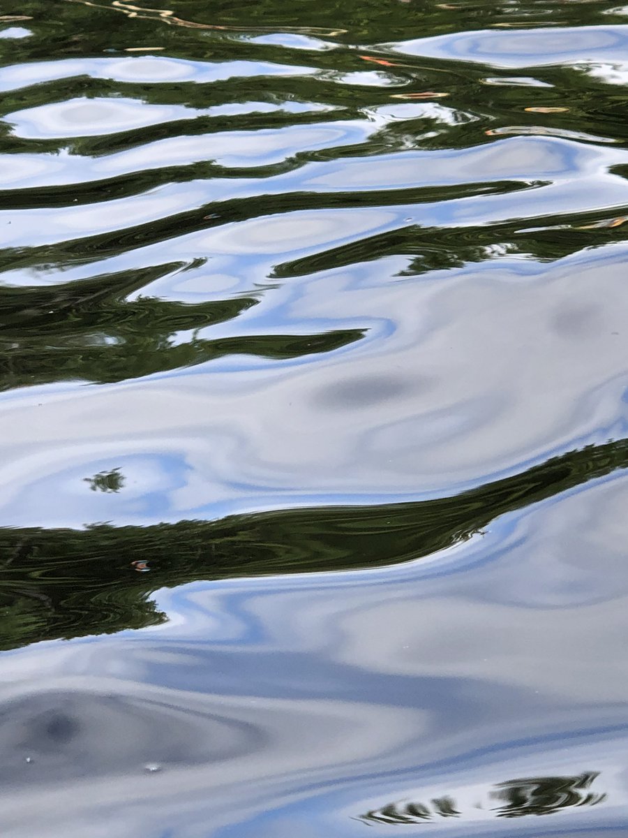 CDanaherH's tweet image. A holy man in India 
once explained to me
in complex terms of chemistry
how #contravariant love can be.
Not by changing, 
but rearranging, 
elements of things
love can take what’s bitter,
make it sweet.
 
#vss365 
#poem