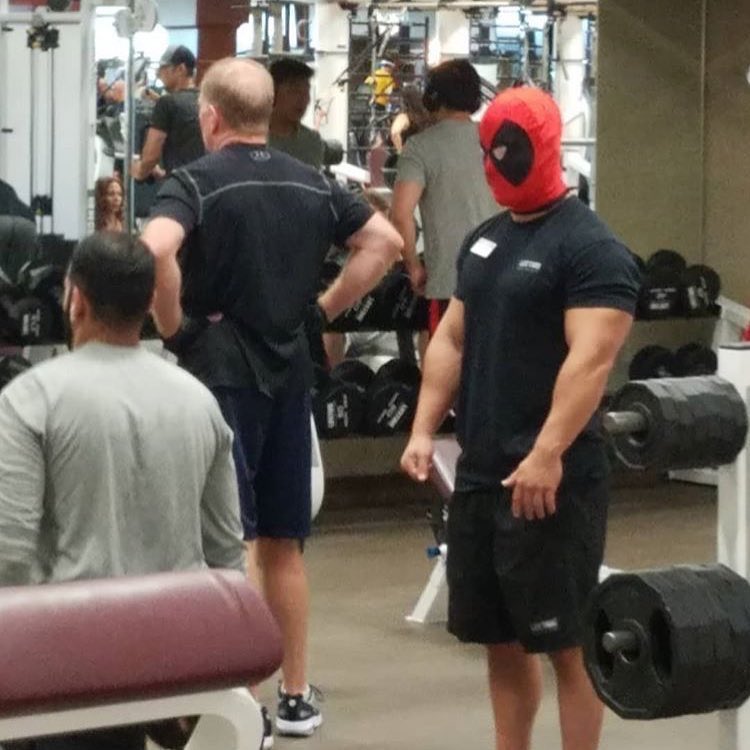 YourFriendGiles's tweet photo. Also I think Truck may have misunderstood me when I suggested he wear a mask to the gym this morning. 😅 It looks great nevertheless though! 👍 #BODYPOSITIVITY https://t.co/cxkAOsucjY
