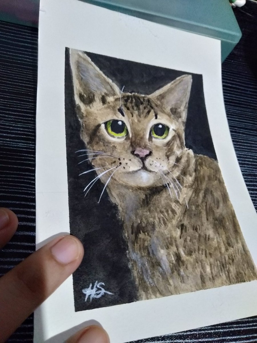 _calsss_'s tweet photo. day two: favorite animal

s  t a r k d' c a t

#FavoriteThingsdrawingchallenge 
#artph #CatsOfTwitter https://t.co/ympkjZOJI3