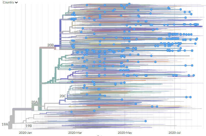 Here, I highlight Swiss sequences on  @nextstrain - but many other European countries show the same thing.The whole tree shows the entire diversity of the virus. The x-axis is time - dots are  #SARSCoV2 sequences plotted when they were taken. https://nextstrain.org/ncov/europe?f_country=Switzerland15/25
