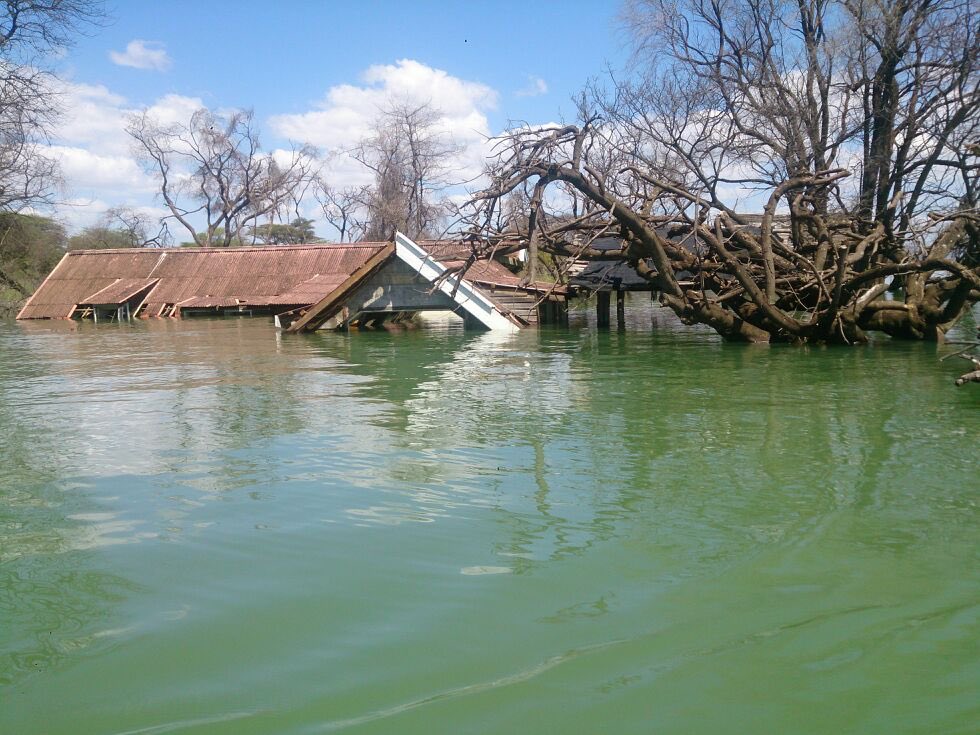 I found these pics in my archives from 2013 when we went to Soi Safari coz we discovered that Lake Baringo Club had been submerged. Now no one even speaks of the club. The pics on dry land are at Soi Safari & the submerged is the club, which was part of block hotels.  @TheDonVince