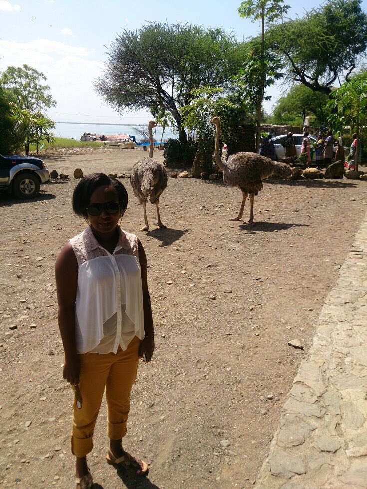 I found these pics in my archives from 2013 when we went to Soi Safari coz we discovered that Lake Baringo Club had been submerged. Now no one even speaks of the club. The pics on dry land are at Soi Safari & the submerged is the club, which was part of block hotels.  @TheDonVince