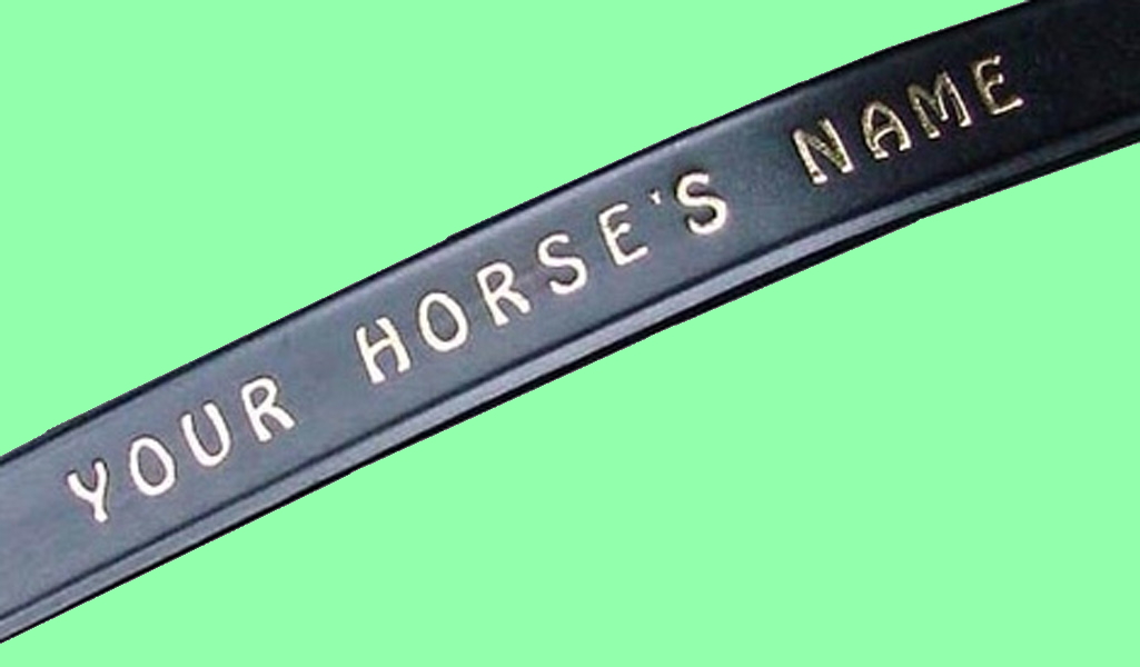 ebay.co.uk/itm/Browband-P…

#horse #horses #equine #equestrian #parelli #horselovers #montyroberts #naturalhorsemanship #horsegifts