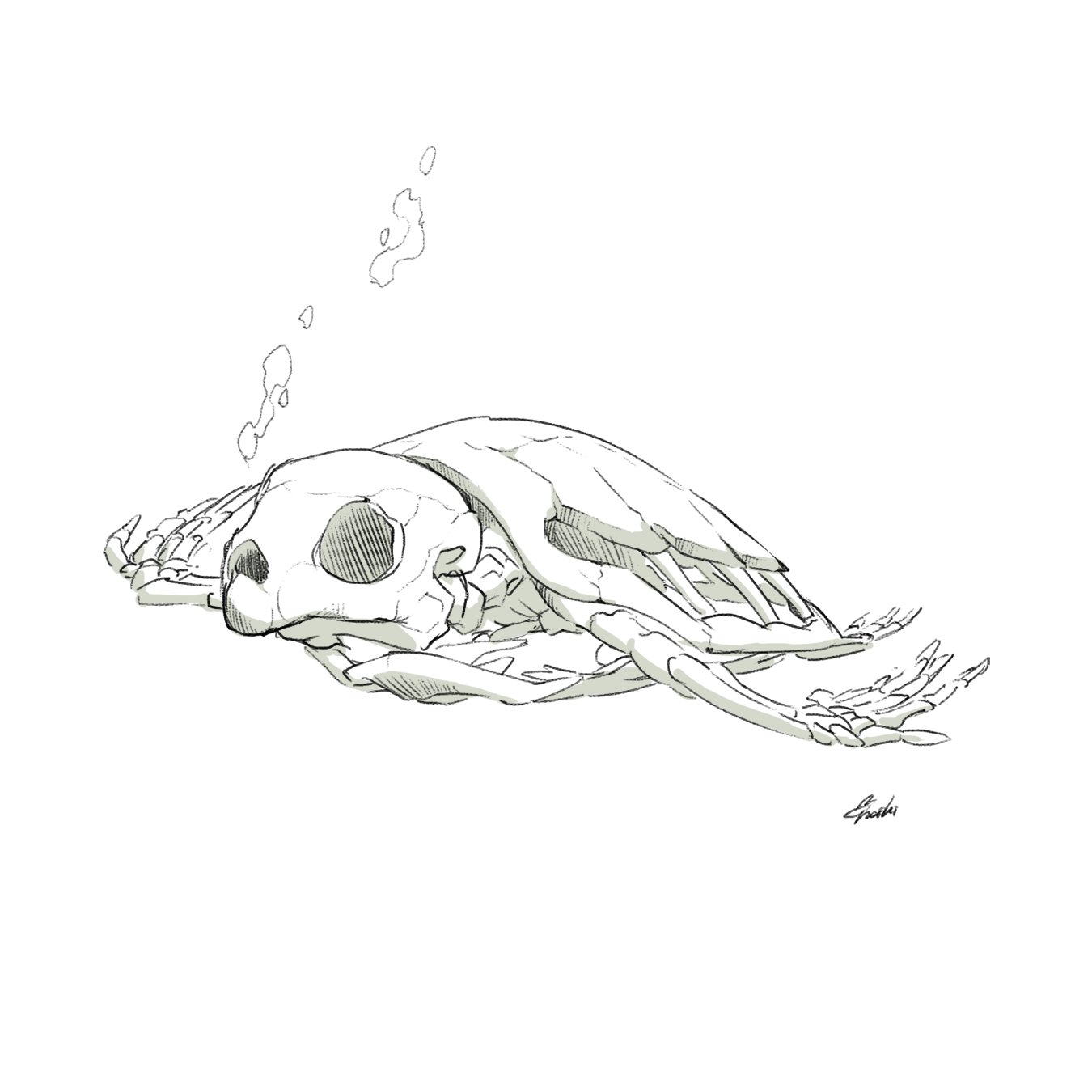 まなし お仕事募集中 お題箱から まなしの好きなポケモン 進化系3匹描いちゃった ほんとはフシギダネとかチコリータとかセレビィとか ムウマとかいろいろいて1番すきなのは選べないけど 色つけたくなっちゃったからつけちゃった ロズレイドも