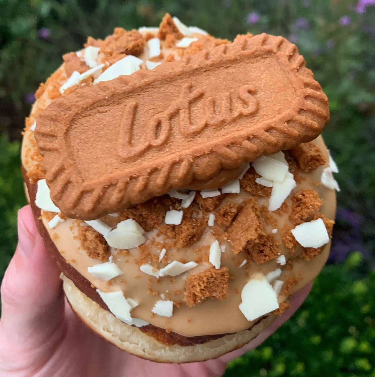 Dreaming of our Biscoff to get us over the hump this Wednesday 💭