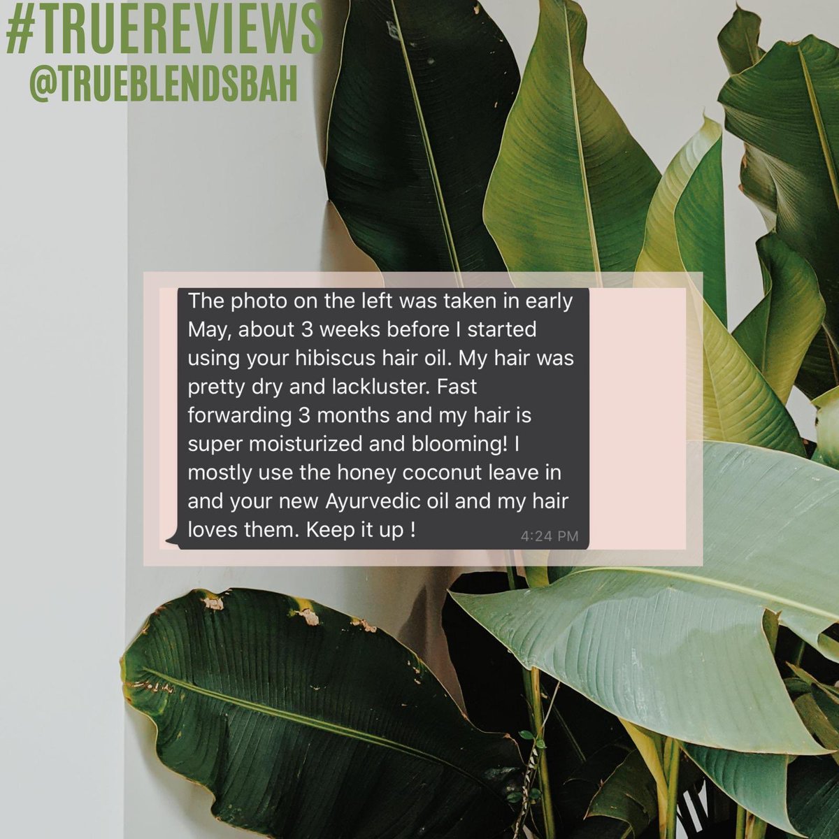 trueblendsbah's tweet photo. #TRUEREVIEWS : This #TrueBlendsBabe says her hair is “blooming” after just three months of using her #TrueBlendsHaircare . Swipe to see her testimony. Your #hairgoals are just an order away. Order today! 🌿 https://t.co/gWYCAqHYf4