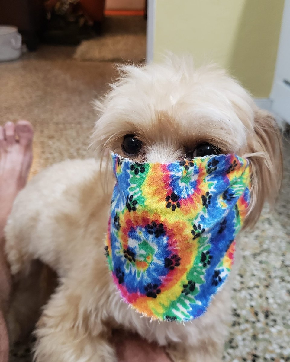 Art Dahm tweet media