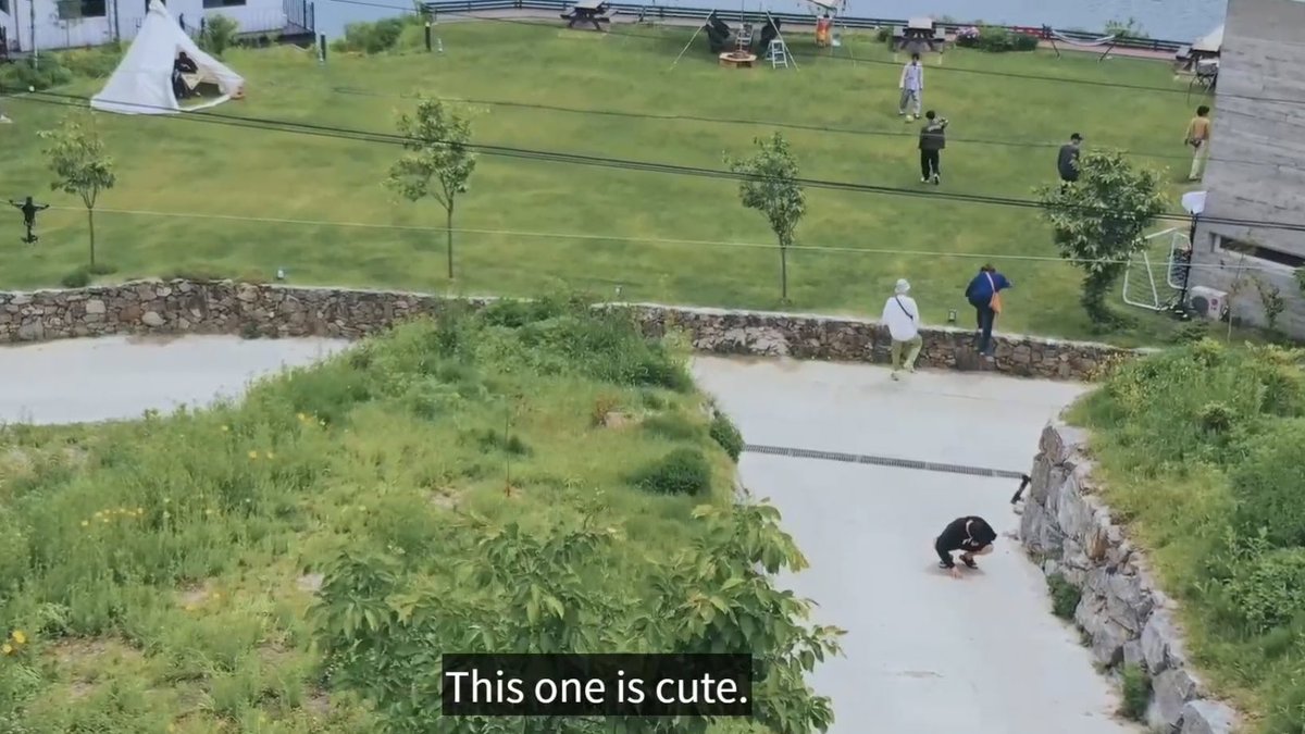 googiefolder's tweet photo. jungkook getting distracted by the caterpillar https://t.co/vGcwwUfw90