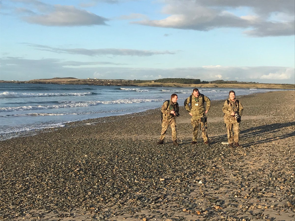 RAF Valley tweet media