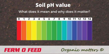 fermofeed's tweet photo. 🖋 𝙉𝙚𝙬 𝙗𝙡𝙤𝙜

👉 Everything about the importance of the pH value of your soil

🆙 Get informed how the right pH value can improve the quality of your soil &amp; crops

🔗 https://t.co/ujkfj6wjsx

#pH #soil #blog #organic #crops https://t.co/LfTMWFVVBf