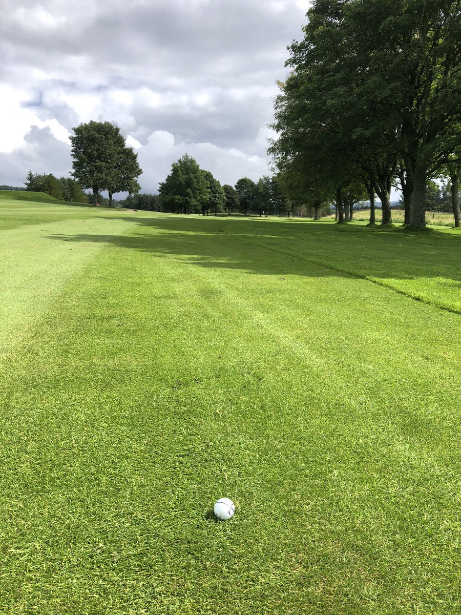 Bru_sterRooster's tweet photo. Team meeting @WestLintonGolf
All square on 17, then lose by 2 holes!
Well played @scottf265 deserved winner on the day-fantastic chip in birdie on 17th hole 👏🏼👏🏼 #QualityShot #BrokenFoot
Course looking good @stufergusonmg & team, cracking shoulder injury @ConMcallisterGK 😱 https://t.co/E2Ca410Iw8