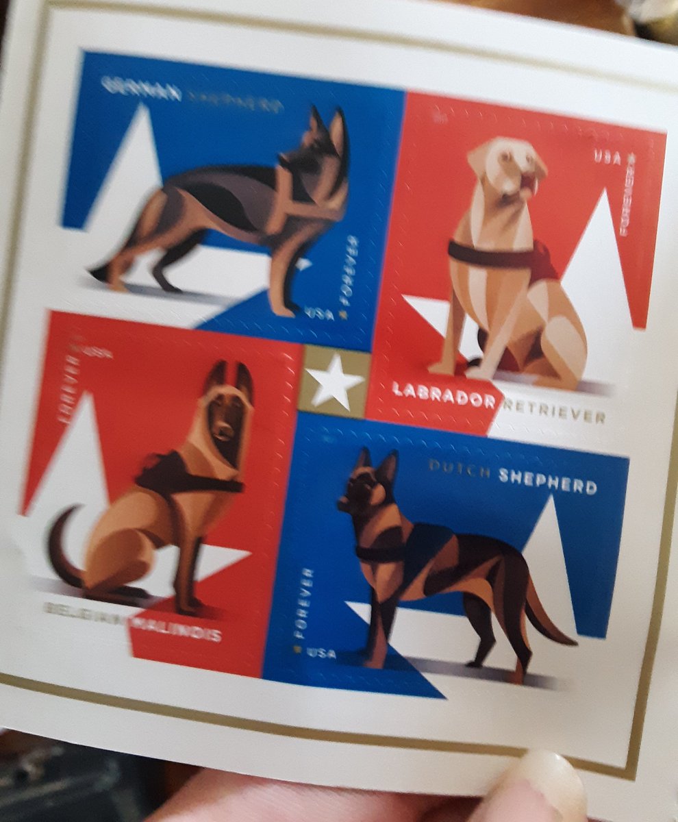 ArtIsMyPorn's tweet image. Military Dog stamps at the post office! Great excuse to send someone a letter! #SaveThePostalService