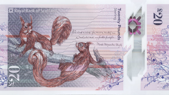 redsquirrelsw's tweet photo. Did you know, the new #Sottish £20 has #redsquirrels on the back! <3
#rewilding #rewilding #redsrule #redsquirrelsrule #redsquirrelsouthwest #saveoursquirrels #redsquirrel
https://t.co/VBzLTFr0Ad https://t.co/qzNZmjbF3N