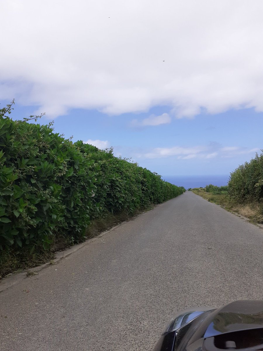 Took a "wrong" road on my way to Vila Franca do Campo that allowed me to peep at the Northern shore of São Miguel, that I will not have the time to explore.62/n – bei  Lagoa São Brás