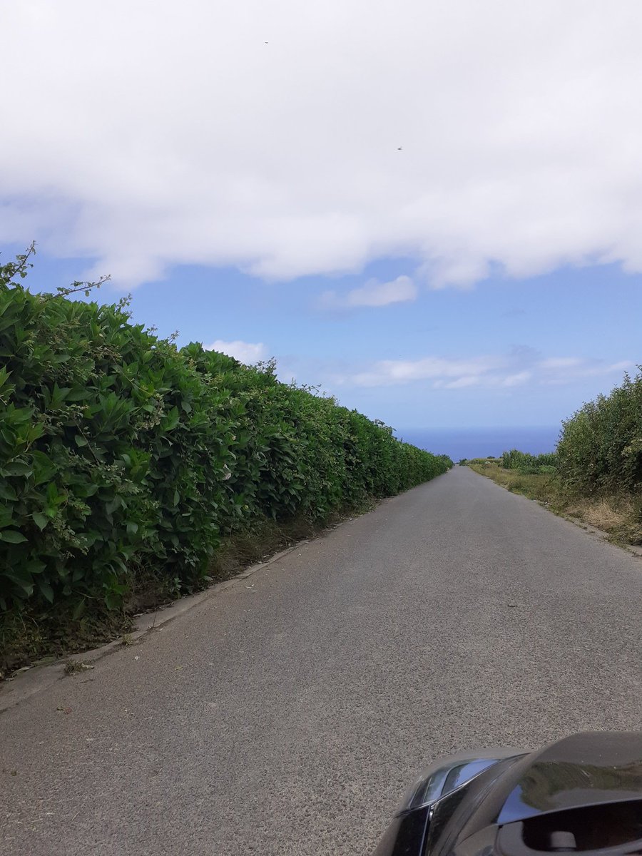 Took a "wrong" road on my way to Vila Franca do Campo that allowed me to peep at the Northern shore of São Miguel, that I will not have the time to explore.62/n &ndash; bei  Lagoa São Brás