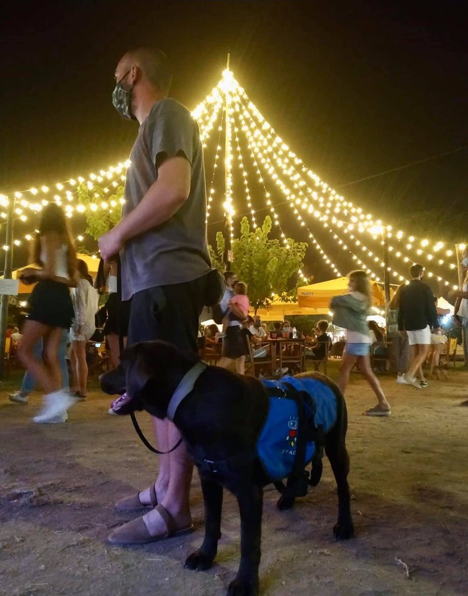 TERRA inicia su proceso de entrenamiento específico como perro de asistencia para personas con TEA.