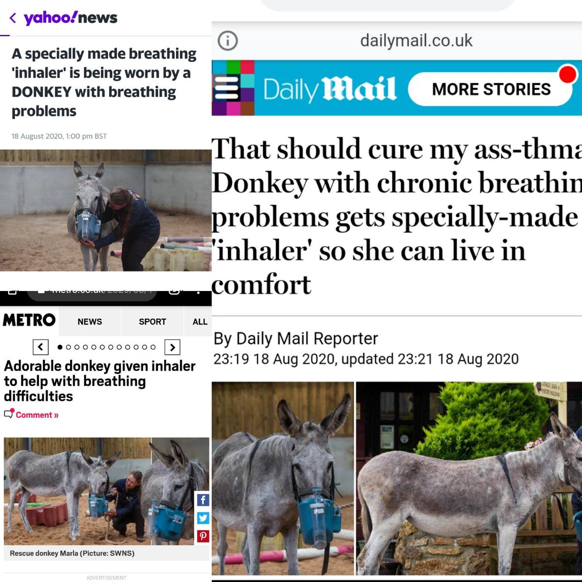 Our beautiful Special Care donkeys have made the headlines this week using their new <a href="/Flexineb/">Flexineb</a> to help with breathing issues! 📸 ❤ 

Read the full story on our website: flickafoundation.org.uk/breatheazynews and check out out Marla featuring in the news! 

<a href="/MetroUK/">Metro</a> <a href="/YahooNews/">Yahoo News</a> <a href="/DailyMailUK/">Mail+</a>