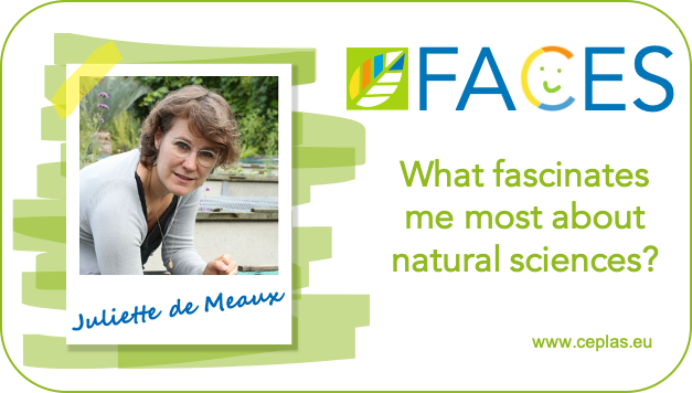 ceplas_1's tweet photo. Our news issue of CEPLAS Faces is out! This time we talked to Juliette de Meaux @MeauxJuliette from @UniCologne. Check out the full interview here https://t.co/F9NXkEiGi5 @HHU_de @IBG2Plant @UniCologneNY #CEPLASfaces #PlantSci #scicomm https://t.co/3aq9GE7zRx