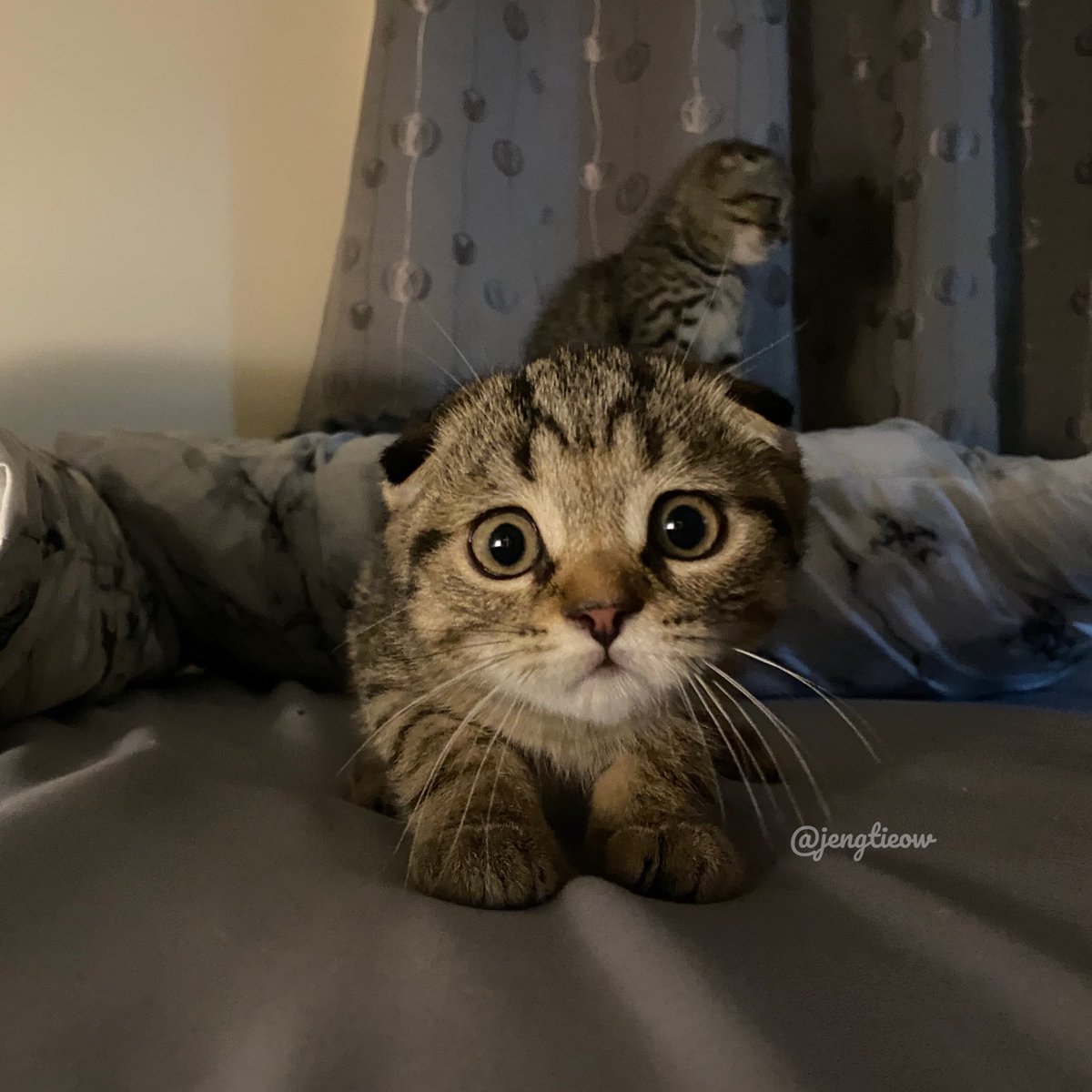 อยากเอาน้ำรดหู ให้งอกออกมา~~~~
#แกงค์หูหลูบบบ