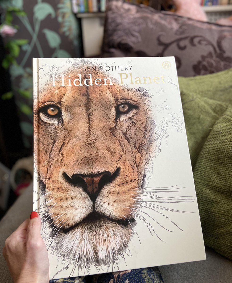 Teacherglitter's tweet photo. Every now & then a book comes along that is so beautiful it takes your breath away. I only discovered @BRillustrations the other day & have his butterfly book arriving tomorrow and the oceans one on preorder. I would have adored this as a child. I do as an adult. #booksforme https://t.co/ecETvr9dcD