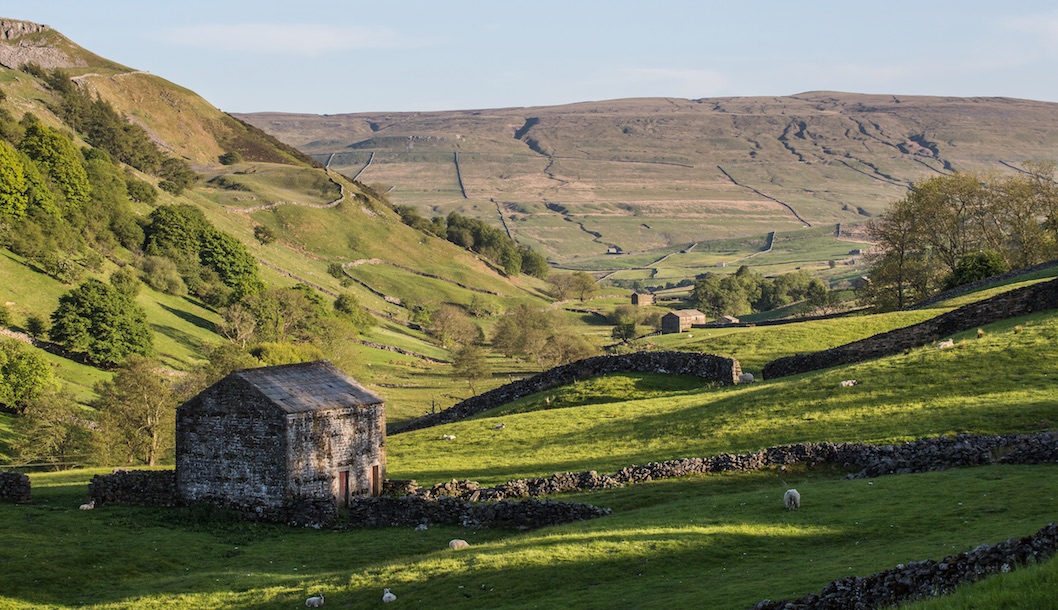 Susan Briggs tweet media