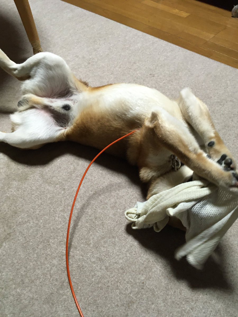 恥ずかしい画像