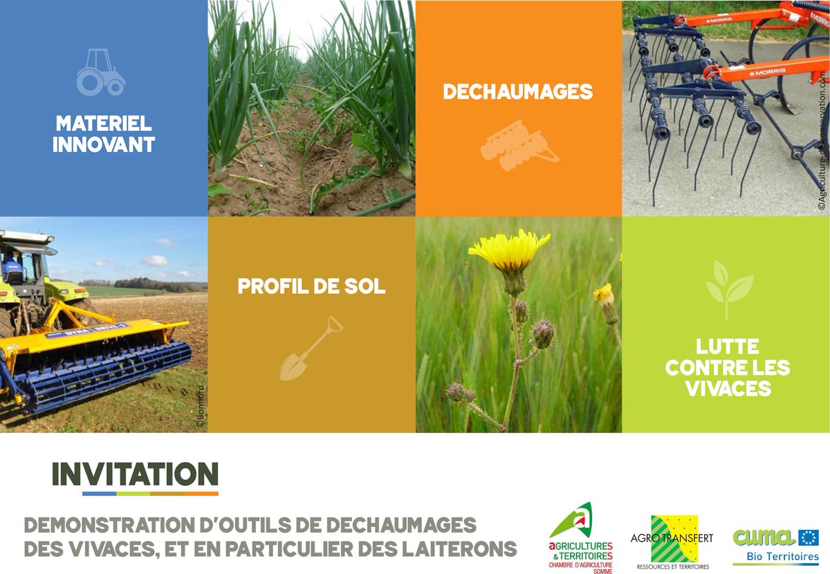 AgroTransfertRT's tweet photo. Venez voir l'effet de nouveaux outils de déchaumage sur les racines des vivaces le mercredi 26 août à Heudicourt (80) @AgroTransfertRT @Chambagri80_div @CUMABioTerritoires 
Renseignements : https://t.co/xVa0LNM41s https://t.co/EVxs6zSxO8